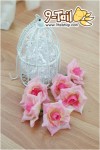 ดอกกุหลาบ สีชมพูไล่สี - ดอกเล็ก (1 ดอก)